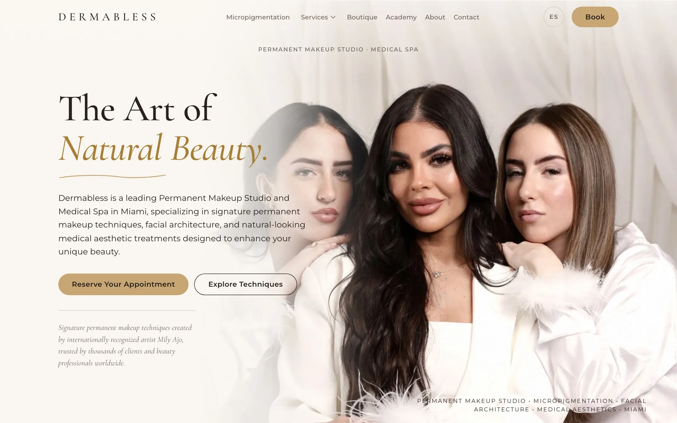 Dermabless: Web