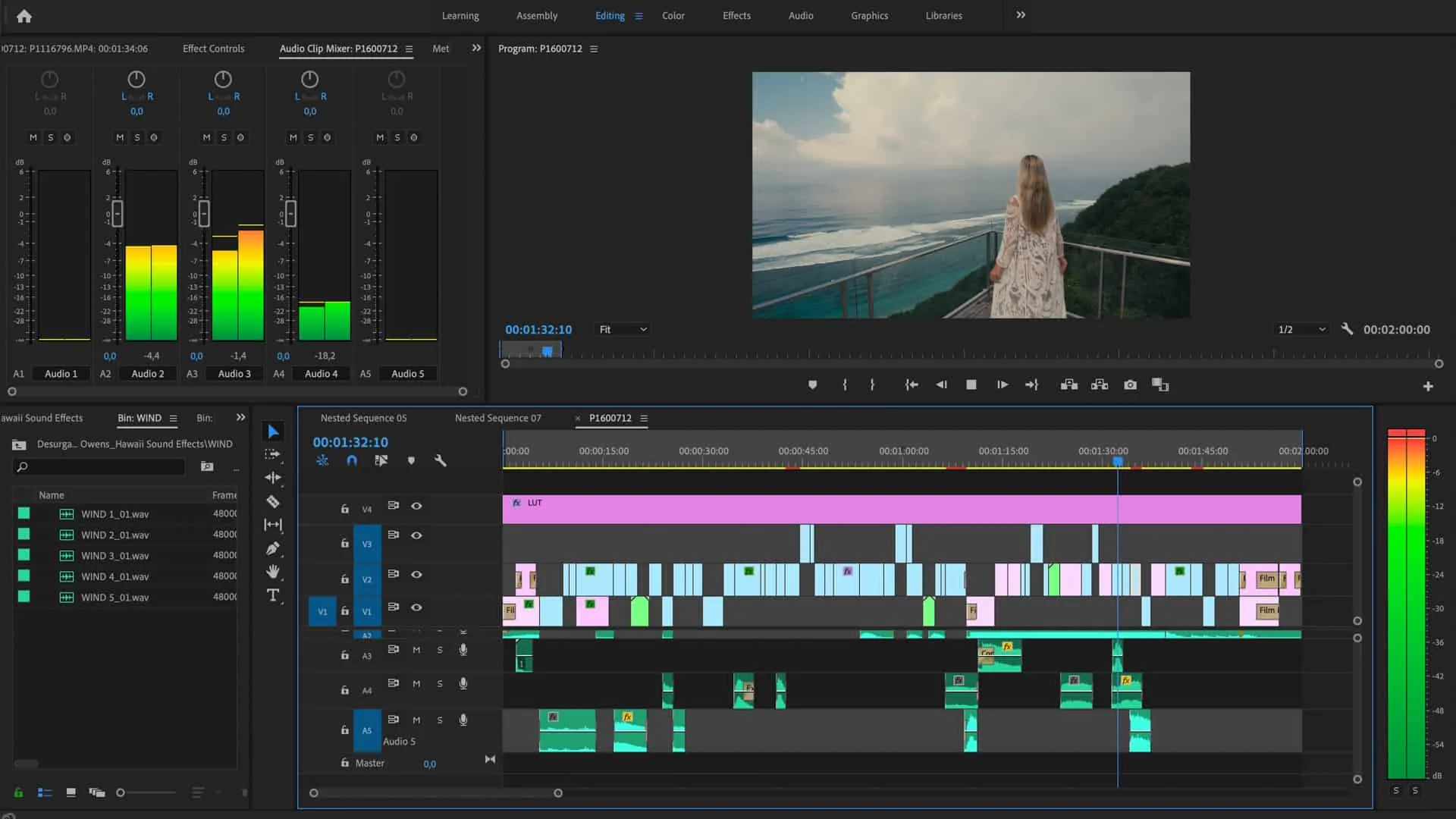 Professional video editing timeline
