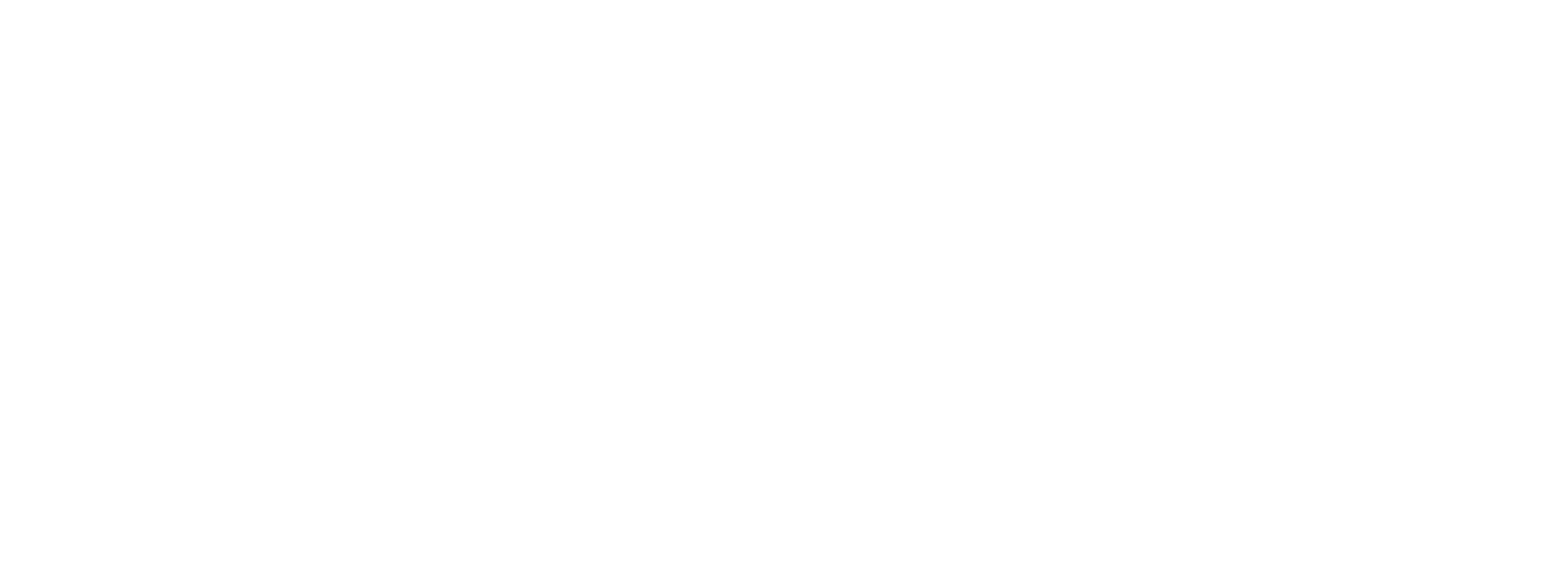 el dia