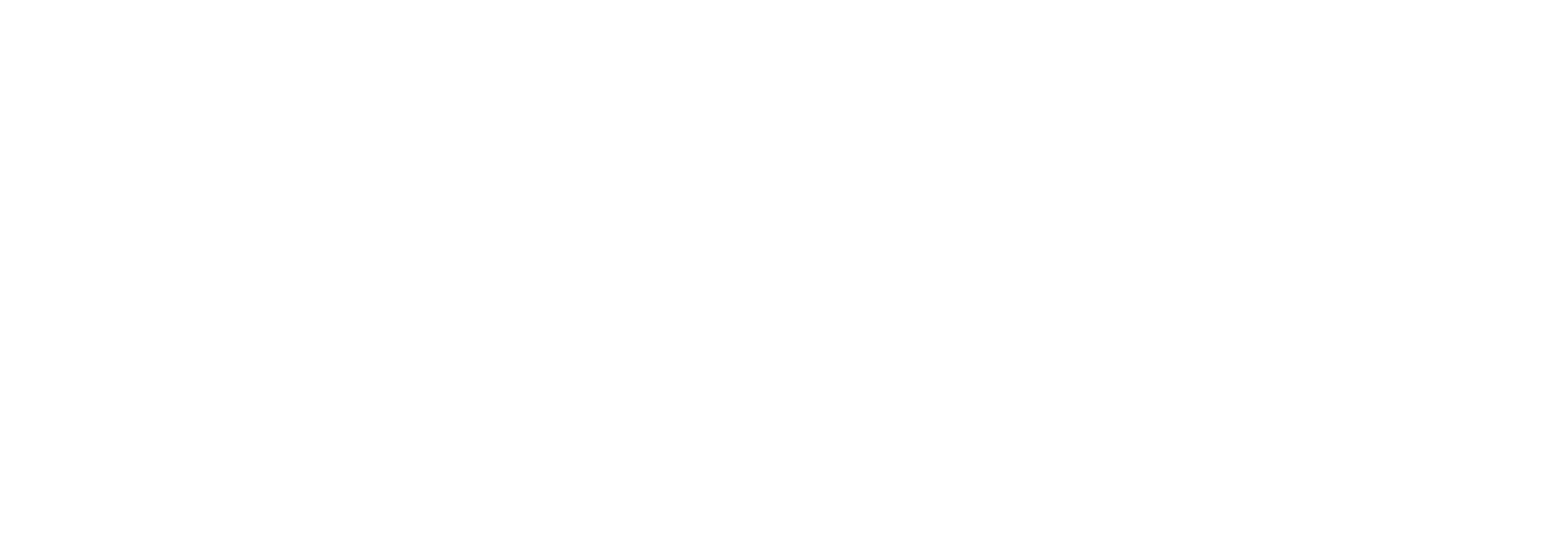 el nuevo diario